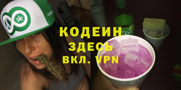 индика Оленегорск