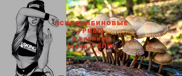 гидра Лагань