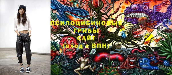 метадон Лабытнанги