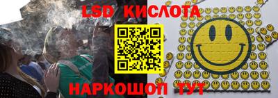 прущие крисы Кандалакша