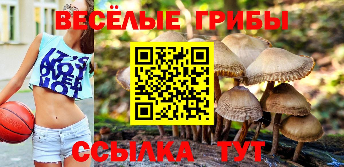 Псилоцибиновые грибы мухоморы Ленинск-Кузнецкий